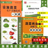 蔬菜栽培技術(shù)大全 蔬菜種植技巧 栽培技術(shù)知識 大棚蔬菜栽培實(shí)用技術(shù) 瓜類(lèi)蔬菜種植管理知識及病蟲(chóng)害圖譜與防治書(shū) 蔬菜高效栽培技術(shù)寶典（全四冊）