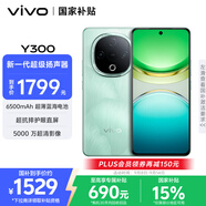 vivo Y300 12GB+512GB 青松 國家補(bǔ)貼 新一代超級揚(yáng)聲器 6500mAh超薄藍(lán)海電池 超抗摔護(hù)眼直屏 AI手機(jī)