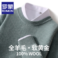 羅蒙（ROMON）澳洲純羊毛針織衫男士秋冬新款寬松圓領(lǐng)加厚毛衣男商務休閑打底衫 BH819青石綠 2XL 碼(100%綿羊毛)