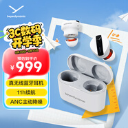 拜雅（beyerdynamic） 費(fèi)蘭朵 FREE BYRD 真無線主動(dòng)降噪藍(lán)牙耳機(jī)音樂入耳式 安卓蘋果通用 藍(lán)牙5.2 灰色