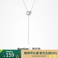 桐汝壁羅馬雙環(huán)毛衣鏈高檔毛衣項(xiàng)鏈長(zhǎng)款吊墜衣服掛繩掛飾媽 【品牌禮盒】銀色