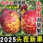 渝見(jiàn)橙正宗大涼山鹽源丑蘋(píng)果時(shí)令當季新鮮水果2025年鮮果 凈重2.5斤中果6-9個(gè)