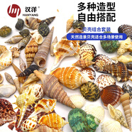HANYANG貝殼魚缸造景裝飾擺件套餐水族箱底沙砂石海螺約35個