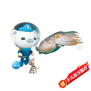 海底小縱隊(duì)海洋動物大探秘神秘隱士