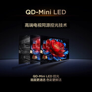 雷鳥(niǎo)TCL電視 55T5M 55英寸 QDMiniLED控光240Hz高刷網(wǎng)絡(luò )平板電視 55T5M黑色 0英寸 55英寸標配
