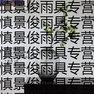 語(yǔ)森憶落地大花瓶吊鐘玻璃感擺件客廳插花玻璃透明水養(yǎng)覆古鮮花水 花器冷灰小+一枝千里香