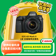 佳能（Canon）EOS 6D Mark II 6D2全畫幅 專業(yè)單反相機 L級24-105標準鏡頭套裝（約2620萬像素/4K延時視頻短片）