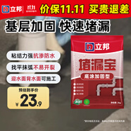 立邦 水不漏堵漏涂料 快干水泥堵漏靈 衛(wèi)生間堵漏寶 速凝型膠泥 2kg