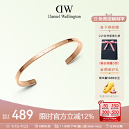 丹尼爾惠靈頓（DanielWellington）dw手鐲女時(shí)尚首飾玫瑰金情侶對(duì)鐲生日禮物送女友DW00400003