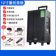 索愛(ài)（soaiy）12寸戶(hù)外廣場(chǎng)舞拉桿音響便捷式6.5寸手提藍牙音箱家庭K歌帶無(wú)線(xiàn)麥克風(fēng) 升級款 12寸 【木質(zhì)箱體】+雙話(huà)筒