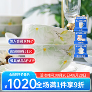 華光國瓷 骨瓷餐具套裝 抗菌釉中彩碗盤(pán)套裝 喬遷之喜高端禮品 白玉蘭 白玉蘭【4人配】 18頭
