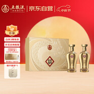 五糧液股份 金碧輝煌 龍行大運 濃香白酒 52度500ml*2瓶 禮盒 中秋送禮
