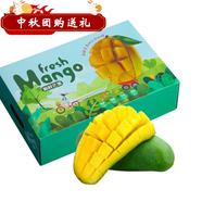 百橙戀廣西百色桂七芒果 桂七大芒果水果禮盒新鮮熱帶水果整箱中秋送禮 精品大果3斤【普通裝】