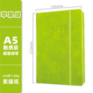 千奇夢(mèng)加厚A5素描本速寫(xiě)本手繪畫(huà)本畫(huà)畫(huà)本學(xué)生圖畫(huà)本美術(shù)生空白素描紙 A5觸感皮硬面-蘋(píng)果綠【224頁(yè)】