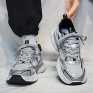 紅蜻蜓老爹鞋銀色復古增高男2025春秋網(wǎng)面透氣休閑跑步鞋 灰色 銀灰 39