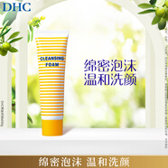 DHC清新洗面乳60g  面部清潔 粉刺 油痘肌適用 溫和清爽潔面乳男女