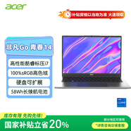 宏碁（acer）非凡Go青春 國家補貼20% 14英寸輕薄本 學(xué)生辦公筆記本電腦 (13代酷睿標(biāo)壓i7 16G 512G 高色域)灰