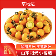 京地達山東陽(yáng)光小番茄黃色柿子凈重4.5斤 新鮮現摘水果自然成熟源頭直發(fā)