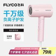 飛科（FLYCO）負離子電吹風(fēng)機家用速干便攜大風(fēng)力冷熱風(fēng)吹風(fēng)筒FH6278