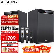 威斯?。╓ESTDING） 家庭ktv音響組合套裝家庭影院智能語音點(diǎn)歌機(jī)專業(yè)卡拉ok電視K歌藍(lán)牙音箱 S10聲卡K歌套裝