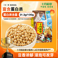 十月稻田 黃豆 2斤 打豆漿 可發(fā)豆芽 東北大豆 五谷雜糧  早餐 大米伴侶