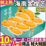 【胖東來品質(zhì)】海南金煌芒果新鮮大果9斤整箱水果當(dāng)季現(xiàn)摘甜心青 【中果】單果4-6兩，正宗黃皮金煌芒 5斤
