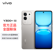 VIVO Y300+  【全國(guó)正品】6500mAh超薄藍(lán)海電池 天璣7300長(zhǎng)久流暢芯 軍工級(jí)耐用品質(zhì) 新品全網(wǎng)通手機(jī) Y300+【鈦色】8GB+256GB