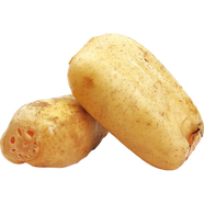 【GAP認證】應季新鮮脆藕500g
