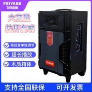 飛揚音響8寸f8-2戶(hù)外室內廣場(chǎng)舞K歌重低音藍牙拉桿可移動(dòng)音箱話(huà)筒 8寸超長(cháng)播放帶1支無(wú)線(xiàn) 線(xiàn)話(huà)筒