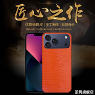 圣鱷適用【真蜥蜴皮】蘋(píng)果17promax手機殼新款稀有真皮iPhone16ProMax男款全包防摔保護套商務(wù)男女 【橙色-后殼款】進(jìn)口蜥蜴皮 蘋(píng)果 16plus