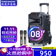 TEMEISHENG 特美聲SL12-31戶外拉桿移動大功率K歌帶KTV美聲話筒大音量會議唱歌演出活動主持拓展音響藍牙音箱 8寸標配+2支無線話筒+大禮包