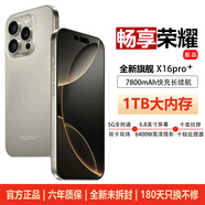 暢享榮耀2025新品5G雙卡全網(wǎng)通 1TB大內存7800mAh快充長(cháng)續航抗摔防水高清護眼高性能電競6400W拍照手機 鈦原色 16GB+256GB 官方標配