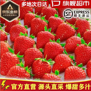 櫻鮮JD順豐多地次日達非丹東99牛奶紅顏奶油甜草莓新鮮水果年貨禮盒裝 8盒 甄選果【120枚】單果18-26g