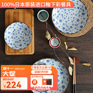 有谷窯有古窯日本進(jìn)口陶瓷餐具釉下彩日式餐具湯碗飯碗盤子家用菜盤 10頭4人份餐具A套裝 4.7英寸
