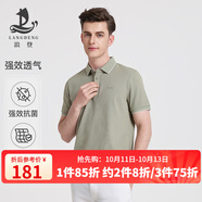 浪登[5A抗菌]短袖男POLO衫新款夏季涼感商務(wù)休閑翻領(lǐng)百搭透氣體恤 淺綠色 XL （180/96A）