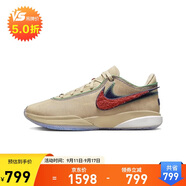 耐克（NIKE）男鞋夏款LeBron 20秋款減震耐磨籃球鞋 DV9089-200 40.5