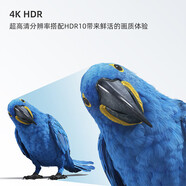 長(cháng)虹58D4PS 58英寸智能語(yǔ)音4K全面屏高清液晶LED平板電視機全國保