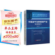 中國油氣與新能源產(chǎn)業(yè)發(fā)展報告：2021