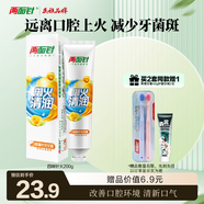 兩面針（LMZ）四味針火牙膏 清新口氣 緩解口腔上火 1支200g 國貨老牌