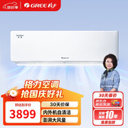 格力（GREE）1.5匹 京湃 新一級能效 變頻冷暖 高溫自清潔 壁掛式空調掛機 KFR-35GW/(35558)FNhAc-B1(WIFI)