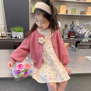 霖貝熊女孩1-5歲裙子春秋套裝中小童3歲孩子兩件套連衣裙可愛(ài)洋氣公主裙 粉色小花朵針織外套+裙子 100