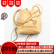 香奈兒（Chanel）女包22 手袋金屬質(zhì)感小牛皮20 × 19 × 6 cm單肩包奢侈品潮牌 黃色AS3980 B08037 NQ387