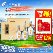 今世緣 國緣淡雅 幽雅醇厚型白酒 42度500mL*2盒裝 婚宴喜酒送禮