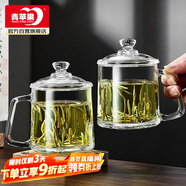 青蘋果泡茶杯帶蓋 無(wú)鉛玻璃把手水杯玻璃杯商務(wù)會(huì)議家用350ML兩只裝