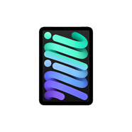 Apple/蘋果 iPad mini (A17 Pro) 8.3英寸 平板電腦(512G eSIM版/mini7/MYHG3CH/A)深空灰色