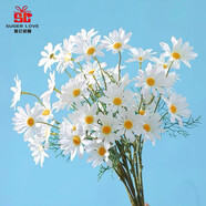 愛已裝糖 高檔仿真花假花ins風客廳裝飾插花電視柜擺件塑料花 小雛菊5支