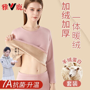 雅鹿保暖內衣女加絨加厚女士保暖衣打底衫美體親膚學(xué)生秋衣秋褲套裝冬 膚粉【上衣+褲子】 羊絨蠶絲 3XL （建議140-155斤）