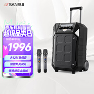 山水（SANSUI）戶外K歌專用音響廣場舞拉桿音響室外演出重低音智能無線麥克風12英寸D12電木吉他民謠樂器音箱