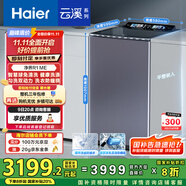 海爾（Haier）【小紅花套系】云溪波輪洗衣機全自動(dòng)家用 10公斤后控  家電國家補貼 雙動(dòng)力防纏繞MS100-BZ568H