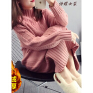 秋冬加絨加厚毛衣女中長(zhǎng)款半高領(lǐng)新款寬松毛衣裙針織打底衫潮 磚紅色 S